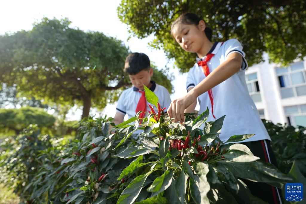 欧意娱乐平台